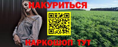 амф Сланцы