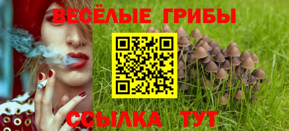 Псилоцибиновые грибы GOLDEN TEACHER Новороссийск