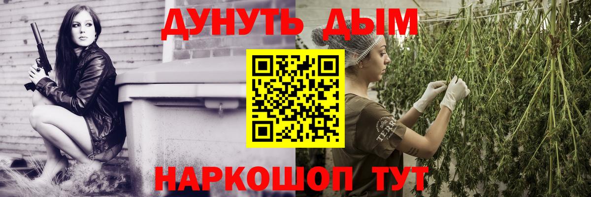 Каннабис сатива Новороссийск